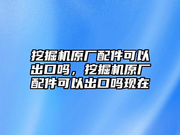 挖掘機原廠配件可以出口嗎，挖掘機原廠配件可以出口嗎現(xiàn)在