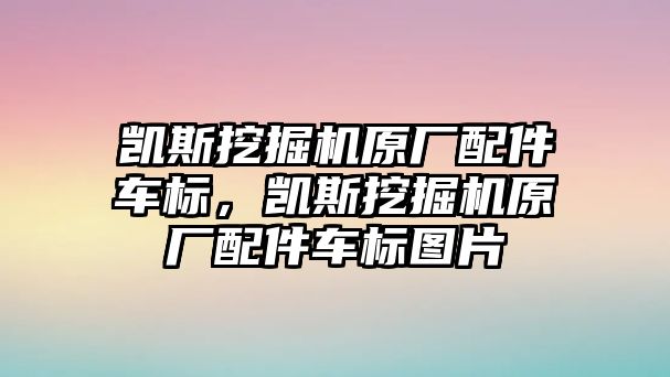 凱斯挖掘機(jī)原廠配件車標(biāo)，凱斯挖掘機(jī)原廠配件車標(biāo)圖片