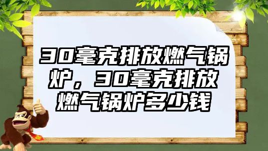 30毫克排放燃?xì)忮仩t，30毫克排放燃?xì)忮仩t多少錢