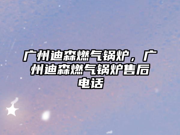 廣州迪森燃?xì)忮仩t，廣州迪森燃?xì)忮仩t售后電話