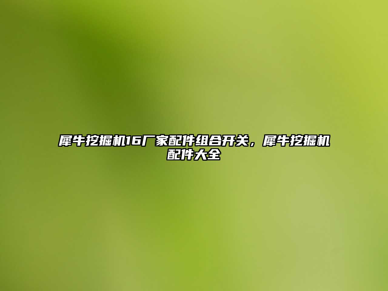 犀牛挖掘機16廠家配件組合開關(guān)，犀牛挖掘機配件大全