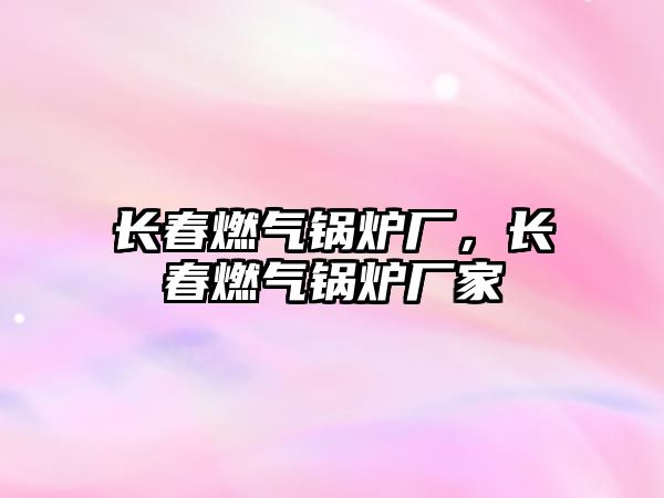 長春燃?xì)忮仩t廠，長春燃?xì)忮仩t廠家