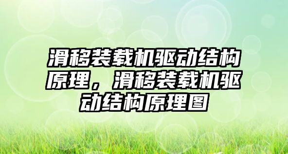 滑移裝載機驅(qū)動結構原理，滑移裝載機驅(qū)動結構原理圖