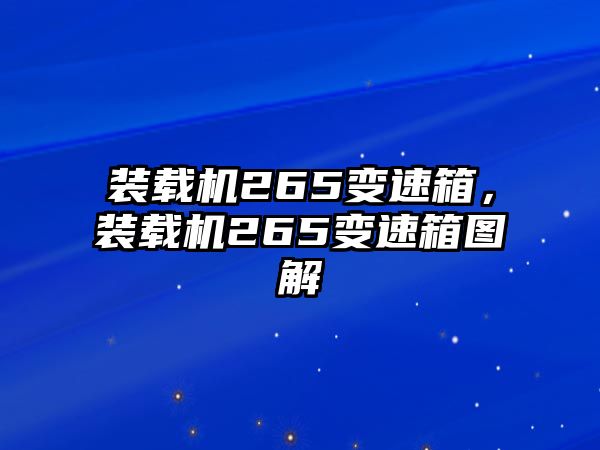 裝載機265變速箱，裝載機265變速箱圖解