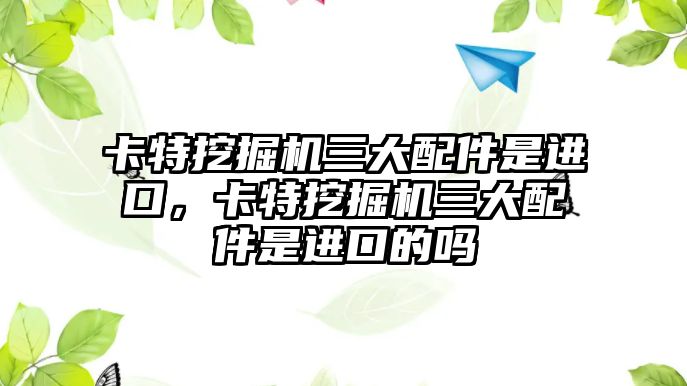 卡特挖掘機三大配件是進口，卡特挖掘機三大配件是進口的嗎