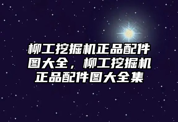 柳工挖掘機(jī)正品配件圖大全，柳工挖掘機(jī)正品配件圖大全集