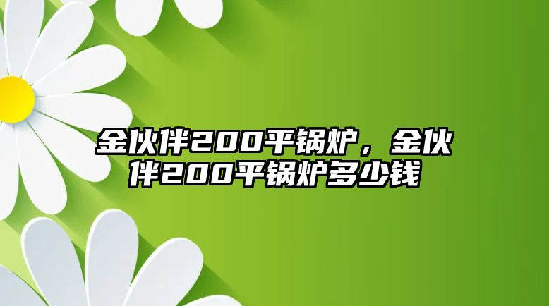 金伙伴200平鍋爐，金伙伴200平鍋爐多少錢