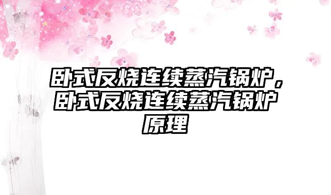 臥式反燒連續(xù)蒸汽鍋爐，臥式反燒連續(xù)蒸汽鍋爐原理