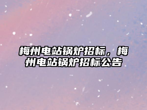 梅州電站鍋爐招標，梅州電站鍋爐招標公告