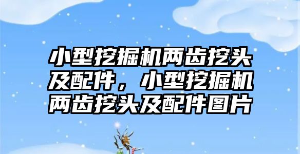 小型挖掘機兩齒挖頭及配件，小型挖掘機兩齒挖頭及配件圖片