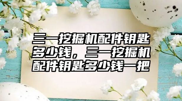 三一挖掘機配件鑰匙多少錢，三一挖掘機配件鑰匙多少錢一把