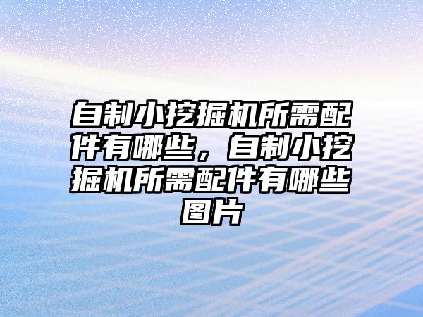 自制小挖掘機所需配件有哪些，自制小挖掘機所需配件有哪些圖片