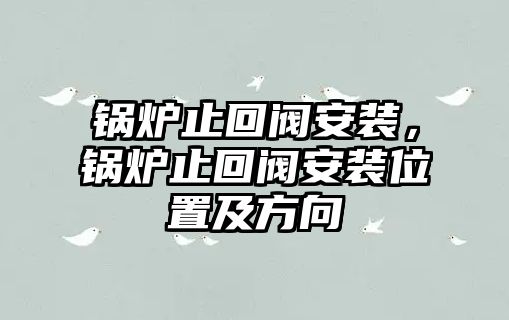 鍋爐止回閥安裝，鍋爐止回閥安裝位置及方向