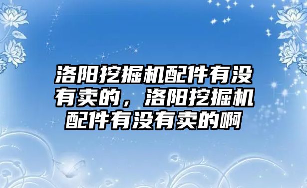 洛陽挖掘機配件有沒有賣的，洛陽挖掘機配件有沒有賣的啊