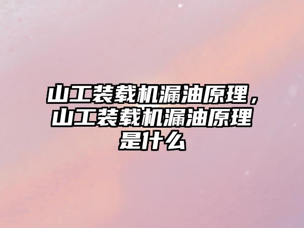 山工裝載機漏油原理，山工裝載機漏油原理是什么