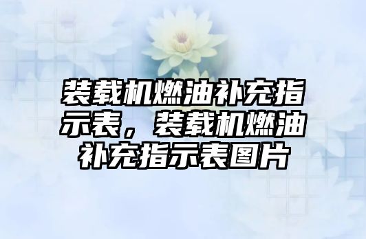 裝載機(jī)燃油補(bǔ)充指示表，裝載機(jī)燃油補(bǔ)充指示表圖片