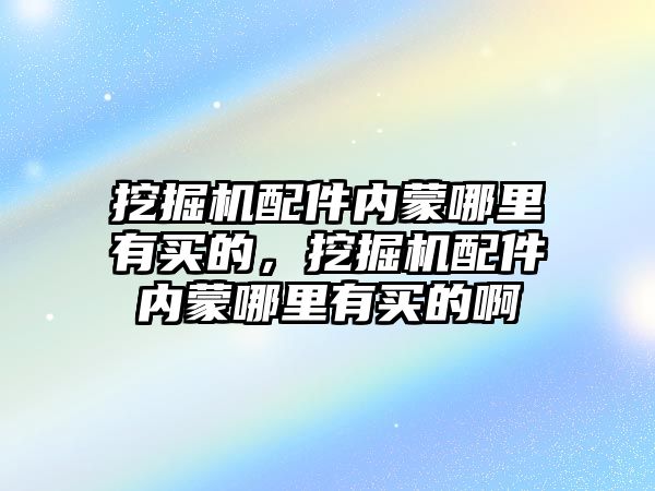 挖掘機配件內(nèi)蒙哪里有買的，挖掘機配件內(nèi)蒙哪里有買的啊