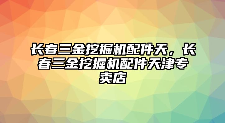 長春三金挖掘機(jī)配件天，長春三金挖掘機(jī)配件天津?qū)Ｙu店