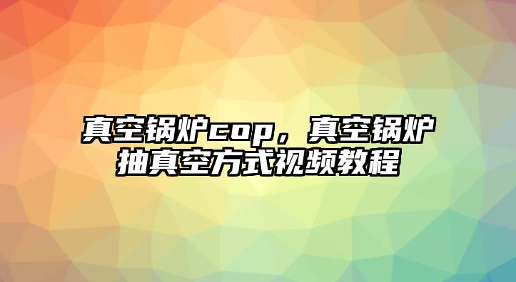 真空鍋爐cop，真空鍋爐抽真空方式視頻教程