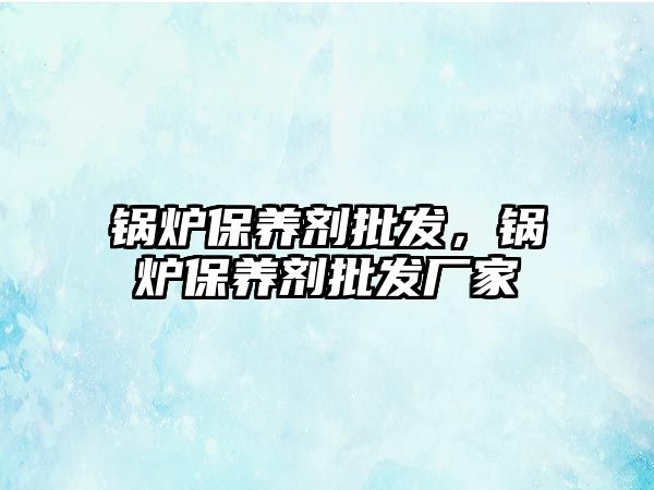 鍋爐保養(yǎng)劑批發(fā)，鍋爐保養(yǎng)劑批發(fā)廠家