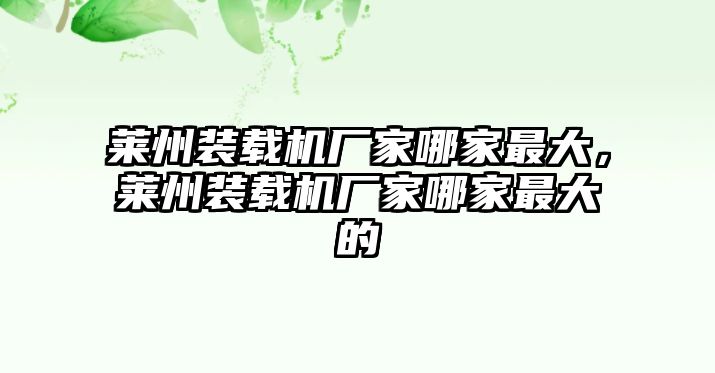 萊州裝載機廠家哪家最大，萊州裝載機廠家哪家最大的