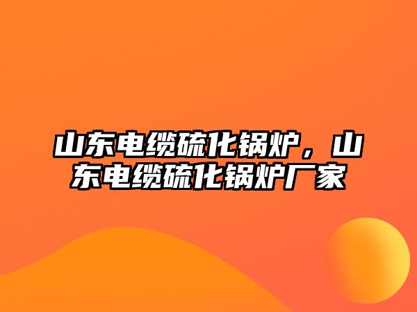 山東電纜硫化鍋爐，山東電纜硫化鍋爐廠家