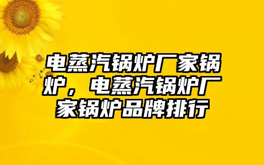 電蒸汽鍋爐廠家鍋爐，電蒸汽鍋爐廠家鍋爐品牌排行