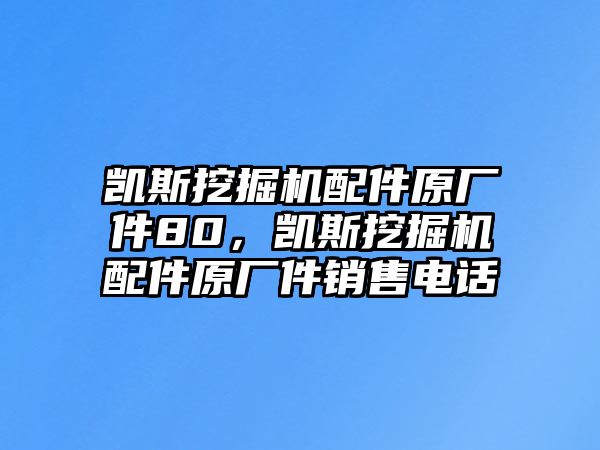 凱斯挖掘機(jī)配件原廠件80，凱斯挖掘機(jī)配件原廠件銷售電話