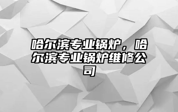 哈爾濱專業(yè)鍋爐，哈爾濱專業(yè)鍋爐維修公司