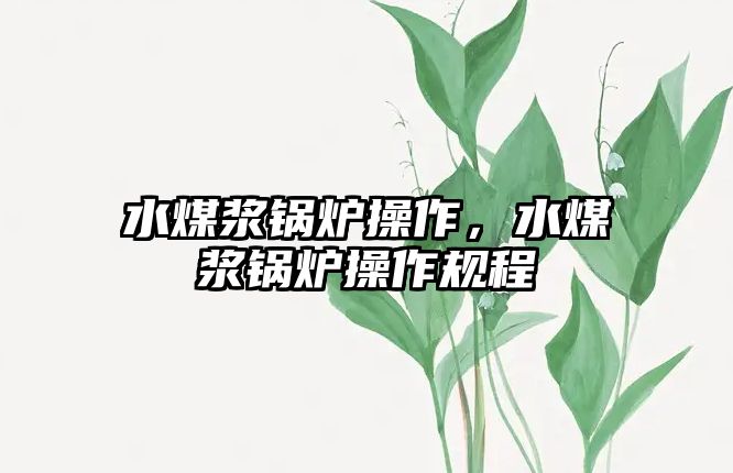 水煤漿鍋爐操作，水煤漿鍋爐操作規(guī)程