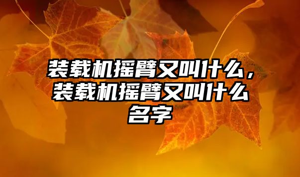 裝載機搖臂又叫什么，裝載機搖臂又叫什么名字