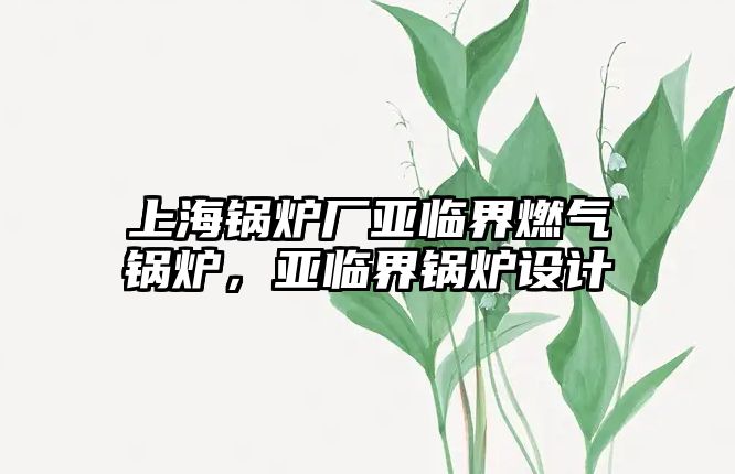 上海鍋爐廠亞臨界燃?xì)忮仩t，亞臨界鍋爐設(shè)計