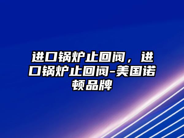 進口鍋爐止回閥，進口鍋爐止回閥-美國諾頓品牌