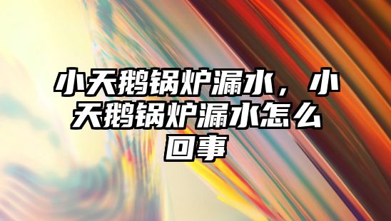 小天鵝鍋爐漏水，小天鵝鍋爐漏水怎么回事