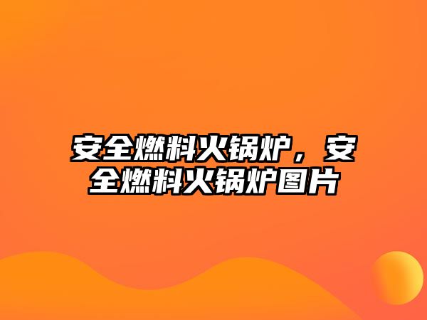 安全燃料火鍋爐，安全燃料火鍋爐圖片