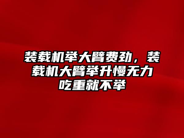 裝載機(jī)舉大臂費勁，裝載機(jī)大臂舉升慢無力吃重就不舉