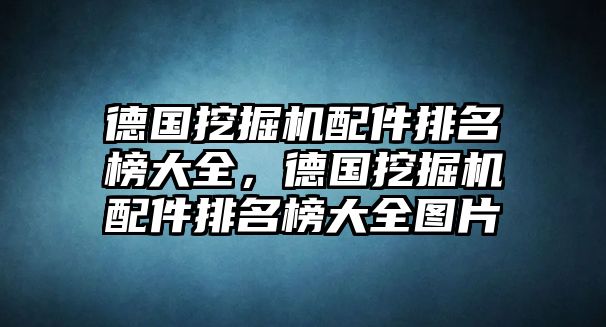 德國挖掘機配件排名榜大全，德國挖掘機配件排名榜大全圖片