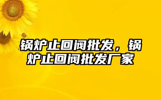 鍋爐止回閥批發(fā)，鍋爐止回閥批發(fā)廠家