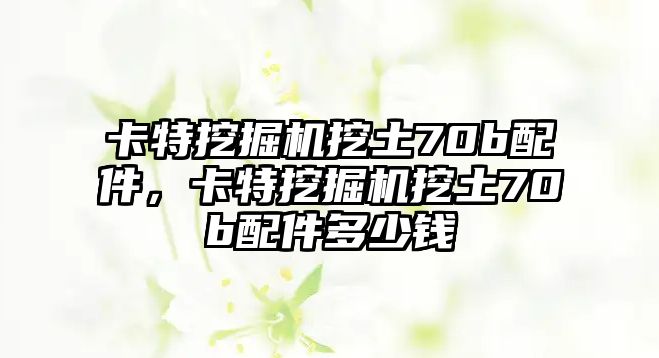 卡特挖掘機(jī)挖土70b配件，卡特挖掘機(jī)挖土70b配件多少錢