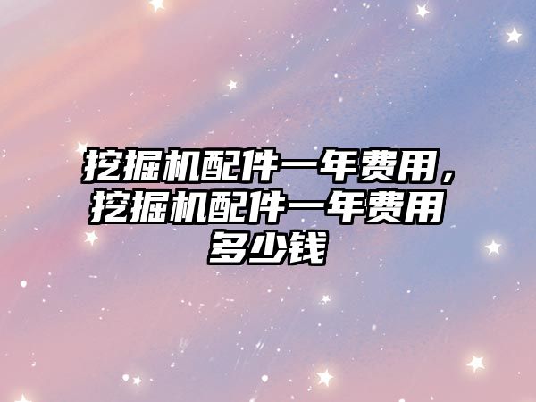 挖掘機配件一年費用，挖掘機配件一年費用多少錢