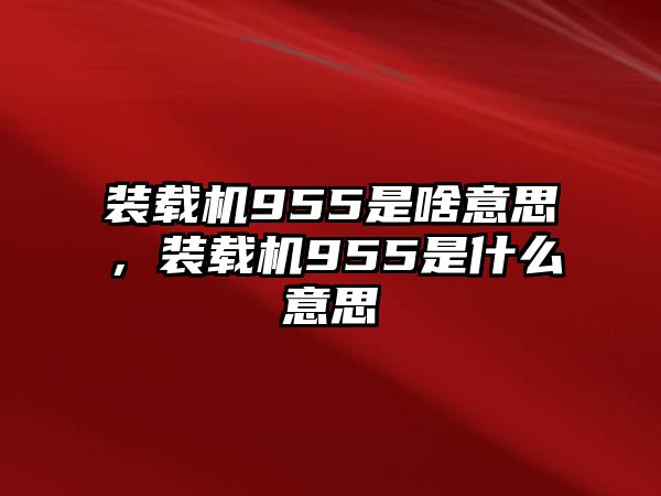 裝載機(jī)955是啥意思，裝載機(jī)955是什么意思