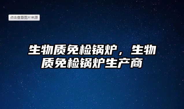 生物質(zhì)免檢鍋爐，生物質(zhì)免檢鍋爐生產(chǎn)商