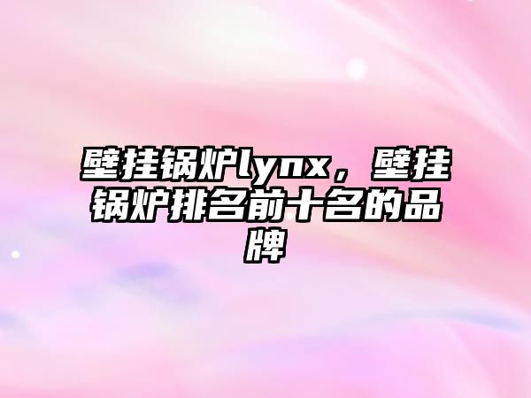 壁掛鍋爐lynx，壁掛鍋爐排名前十名的品牌