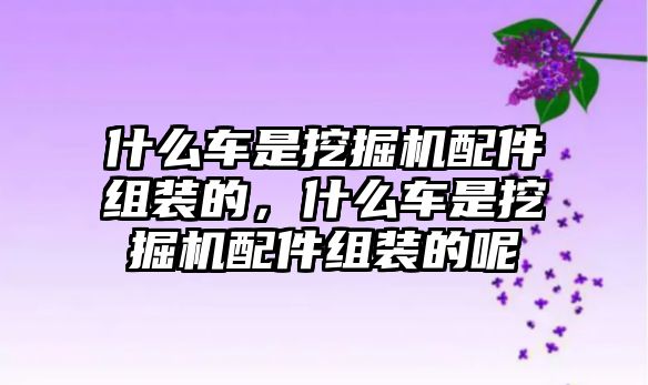 什么車是挖掘機(jī)配件組裝的，什么車是挖掘機(jī)配件組裝的呢