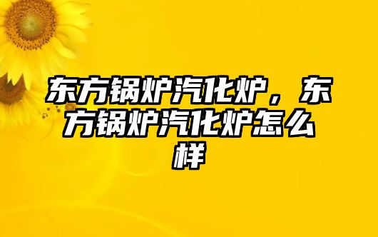 東方鍋爐汽化爐，東方鍋爐汽化爐怎么樣