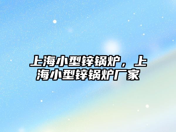 上海小型鋅鍋爐，上海小型鋅鍋爐廠家