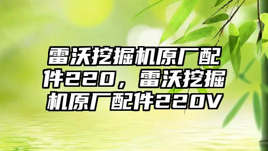 雷沃挖掘機原廠配件220，雷沃挖掘機原廠配件220V