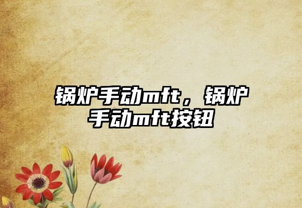 鍋爐手動(dòng)mft，鍋爐手動(dòng)mft按鈕