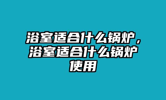 浴室適合什么鍋爐，浴室適合什么鍋爐使用