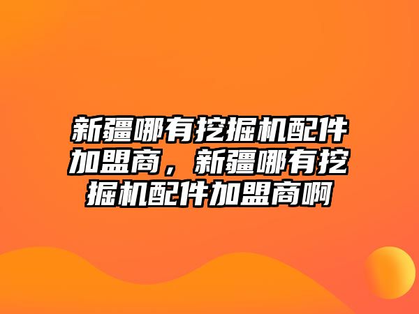 新疆哪有挖掘機(jī)配件加盟商，新疆哪有挖掘機(jī)配件加盟商啊